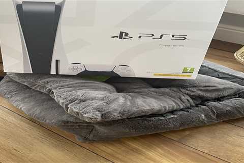 I ordered my son a PS5 for Christmas but when he opened the box all he found was a DOG BED