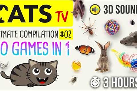 CATS TV -  ULTIMATE Game Compilation for CATS #02 (50 games in 1)  - 3 HOURS