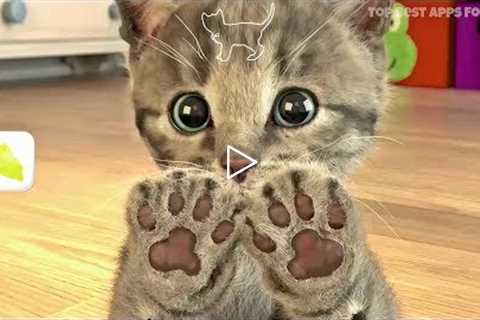 Little Kitten 🐱 My Favorite Cat Game App for Kids | iPad & iPhone