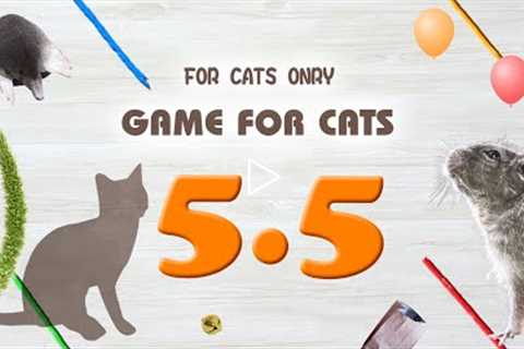 【CAT GAMES】MIX5.5 Rope,Mouse,etc.30min.