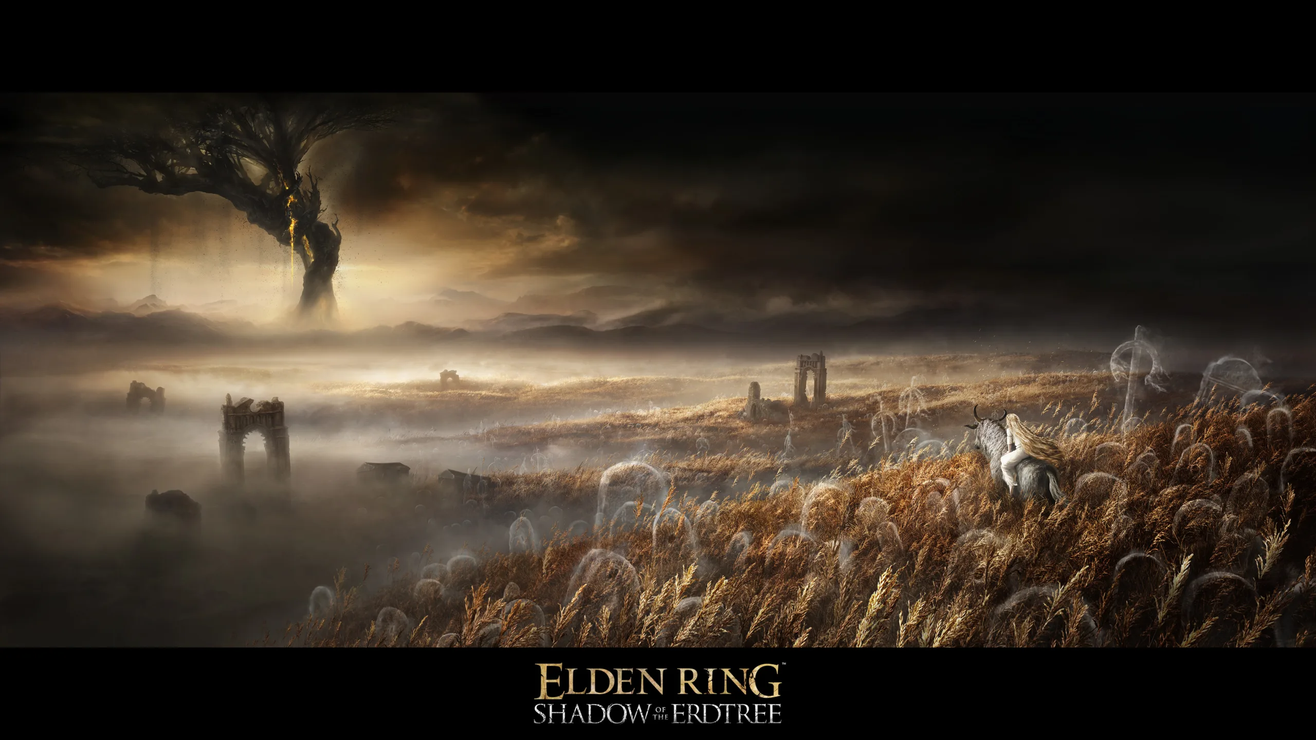 Elden Ring Expansion Teased