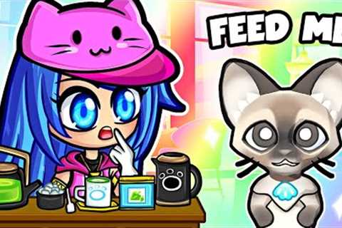 I Opened A Cat Cafe in Pekoe!