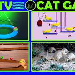 CAT GAMES | 4 IN 1 CAT GAME FOR CATS ENTERTAINMENT 🐱