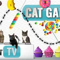 CAT Games | 🐜 Ants Invade Dessert Buffet! 🍩🍦🍰 | Bug Videos For Cats to Watch 😼 | Cat TV Insects