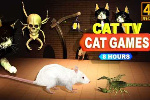 CAT GAMES - CATCHING MICE! ENTERTAINMENT VIDEOS FOR CATS TO WATCH | CAT & DOG TV