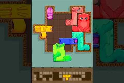 puzzles cats gameplay walkthrough (Android app) #shorts #games #funny