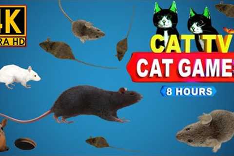 Cat Games - Realistic Mouse Games for Cats - Mouse Hide & seek and play on Screen - 8 Hour 4k..