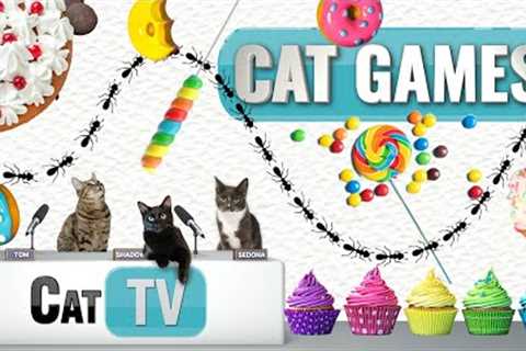 CAT Games | 🐜 Ants Invade Dessert Buffet! 🍩🍦🍰 | Bug Videos For Cats to Watch 😼 | Cat TV Insects