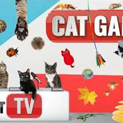 CAT Games | Ultimate Cat TV Compilation Vol 44 | 2 HOURS 🐝🐞🦋🦎🦜🐜🐭🧵