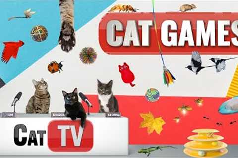 CAT Games | Ultimate Cat TV Compilation Vol 44 | 2 HOURS 🐝🐞🦋🦎🦜🐜🐭🧵