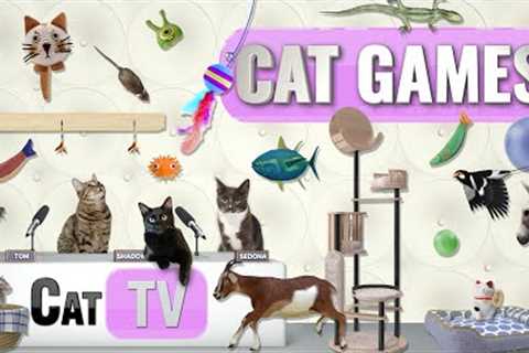 CAT Games | Ultimate Cat TV Compilation Vol 61 | 2 HOURS 🐝🐞🦋🦎🦜🐜🐭🧵