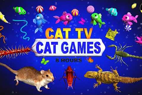 CAT GAMES | ULTIMATE CAT TV COMPILATION FOR FELINE FRIENDS | GAMES FOR CATS 😺 4K 8-HOURS