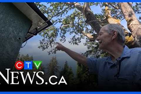 B.C. man captures mysterious fairy-like figure on security camera